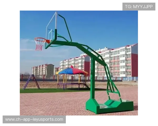 篮球运动装备国产品牌市场份额提升,篮球器材品牌 篮球运动装备国产品牌市场份额提升,篮球器材品牌